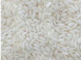 Manufacturers Exporters and Wholesale Suppliers of Ponni Rice Nagpur Maharashtra